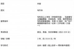 <strong>起来事半功倍专业</strong>